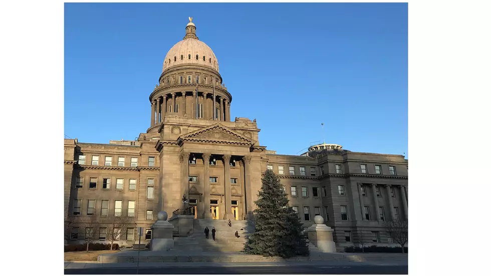 Idaho Capitol Christmas Tree Will Be Ready for Viewing before Thanksgiving