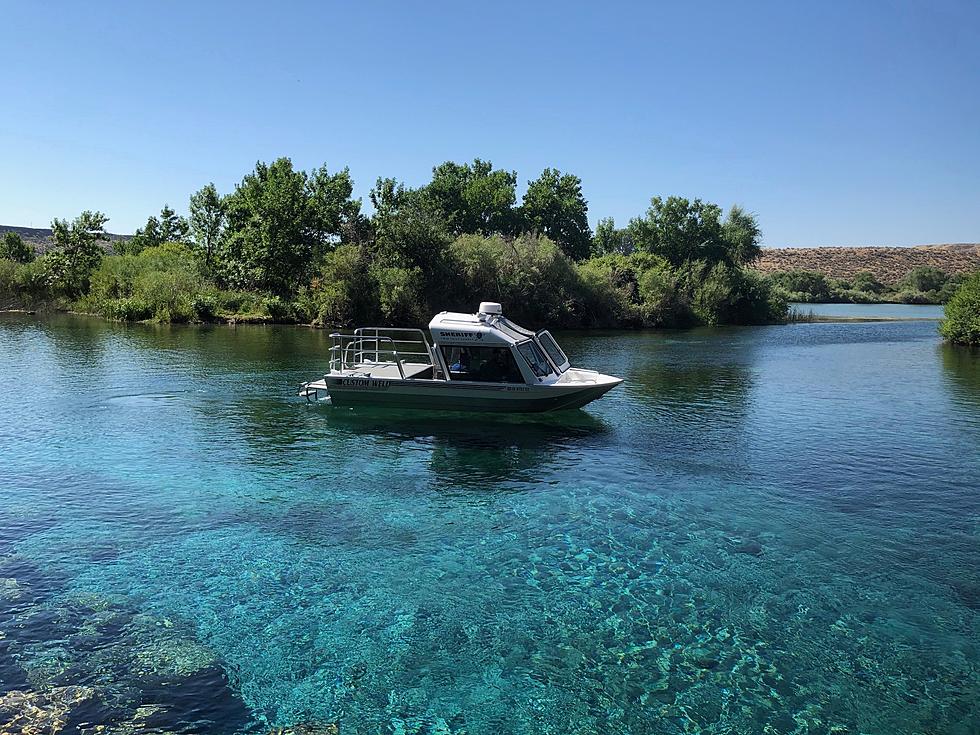 Noxious Weed to be Removed from Blue Heart Spring