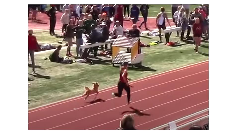 A Utah Dog Wins a Race and Goes Viral