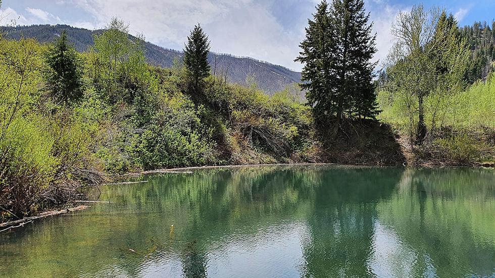 Reports of Sick Dogs Prompt Test of Ketchum Lakes for Harmful Algae