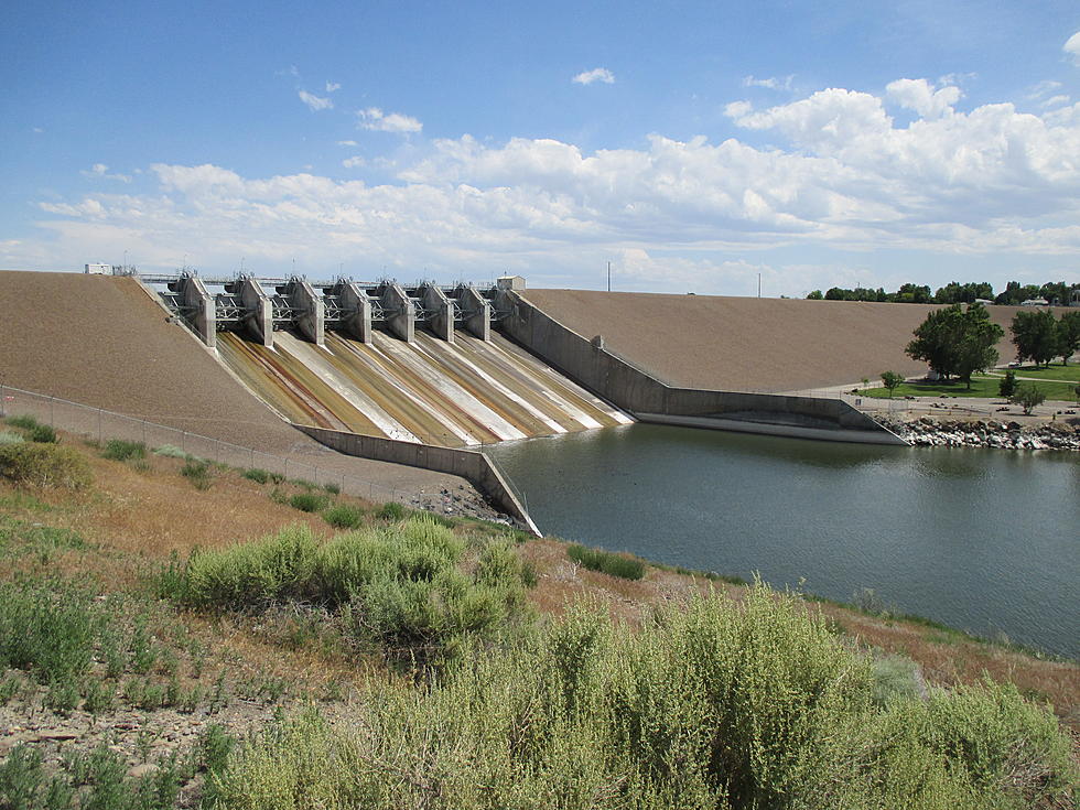 Toxic Bloom Found at CJ Strike Reservoir, Health Warning Issued