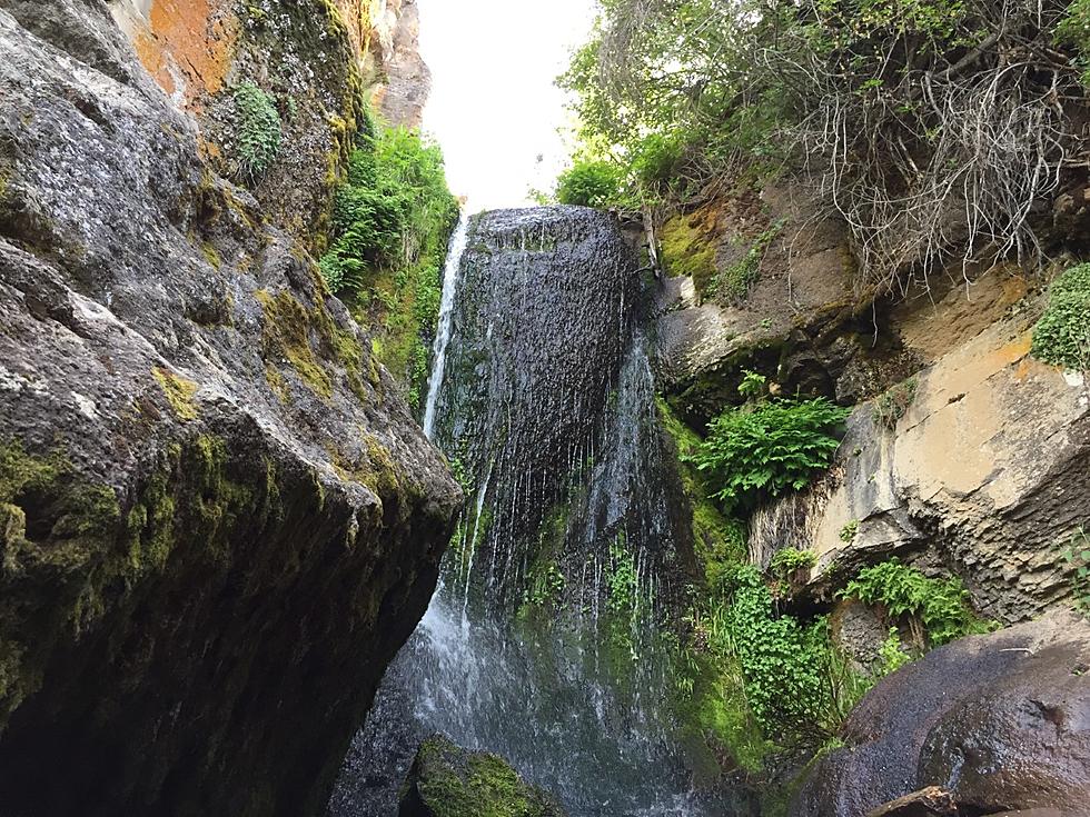 Ross Falls Hit with Graffiti