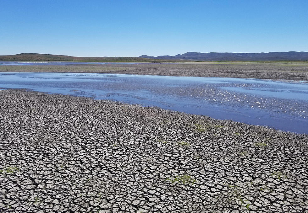 High Water Temperatures Force Fish Salvage at Mormon and Fish Creek Reservoirs