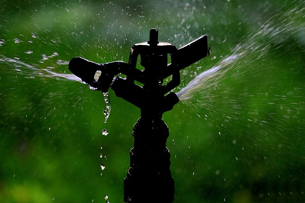 Pressurized Irrigation Water Users Asked to Conserve Water