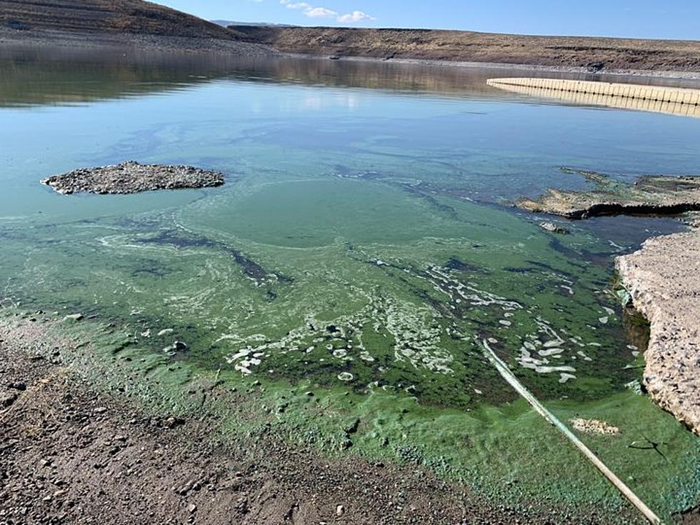 Toxic Algal Blooms Still Present at Magic and Salmon Falls Reservoirs