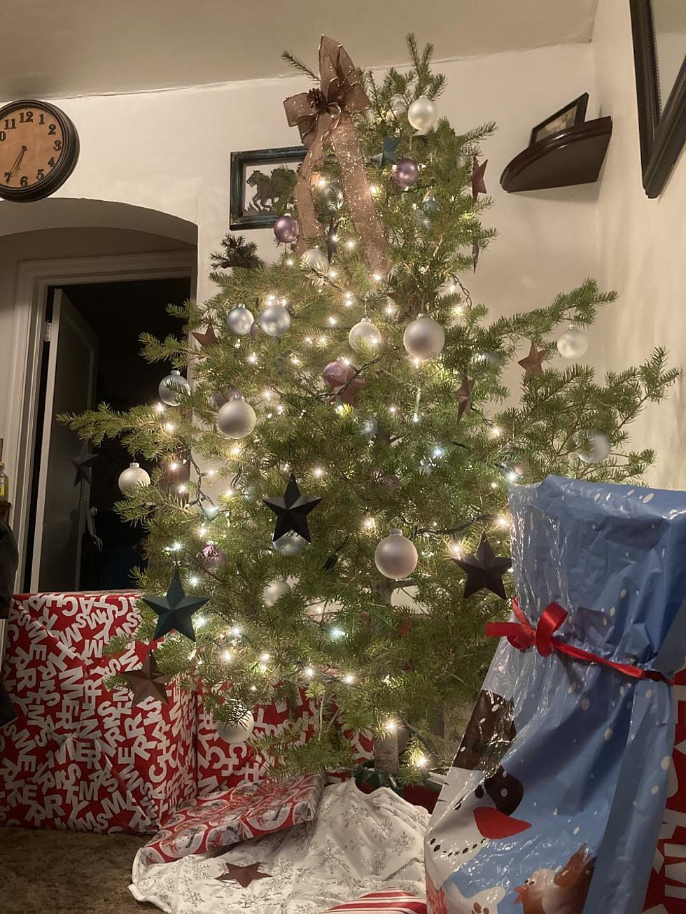 Christmas Tree Permits On Sale for Southern Idaho
