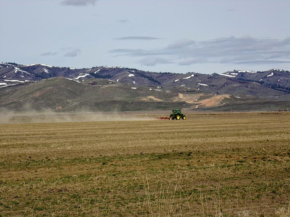 WARNING:  Idaho Farmers Face an Economic Mugging