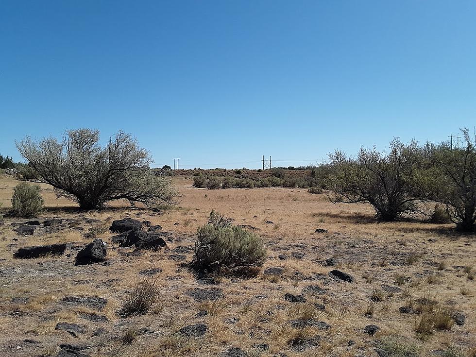 Idaho Experiencing Worst Drought in 1,200 Years!