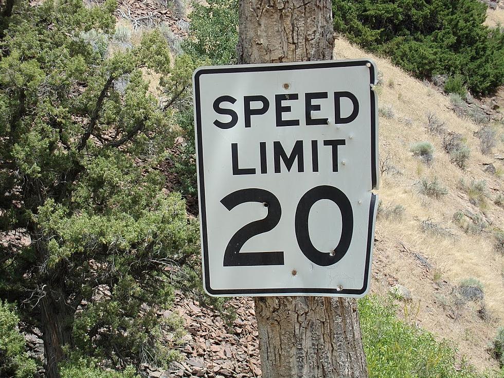 Signs of Authority Issues in Idaho