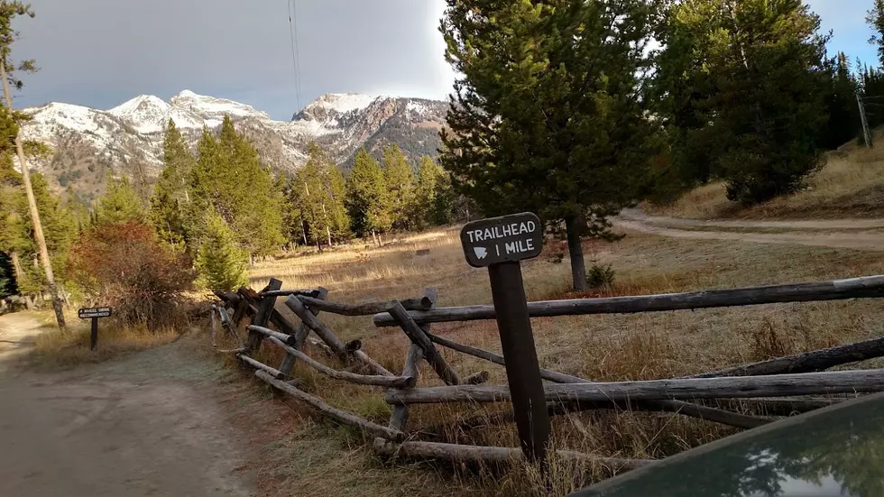 An Idaho Man&#8217;s Near Grizzly Experience