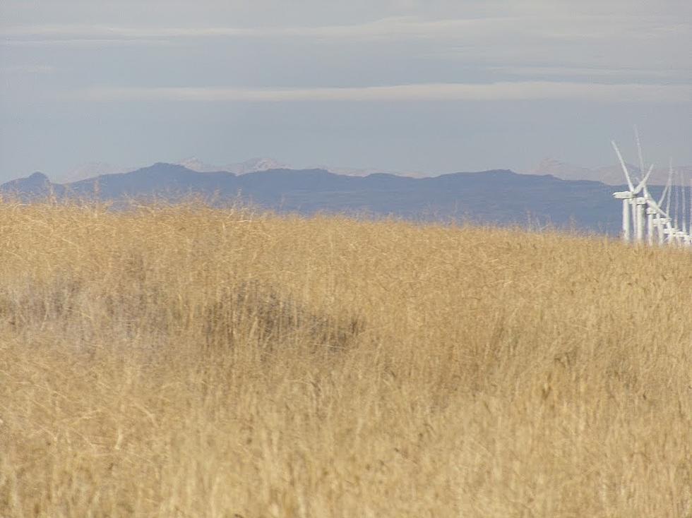 Message for Idaho Wind Farms:  Hands off the Birds!