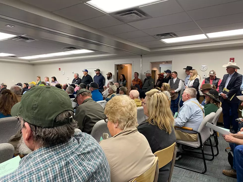 150 People Reject Magic Valley, ID Wind Turbine Proposal