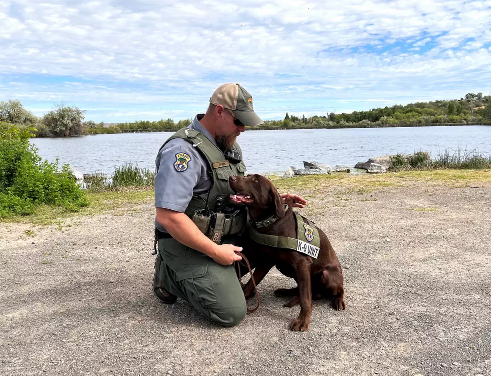 New K9 Joins Magic Valley Fish and Game Team