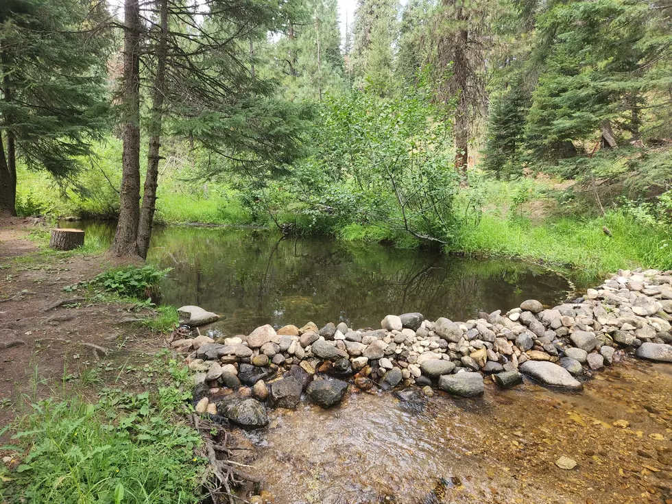 Boise National Forest: Don’t Dam It