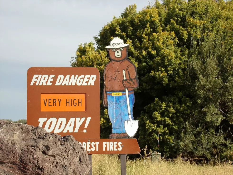 An Idaho Man Says He Has a Simple Plan to Tame Wildfires