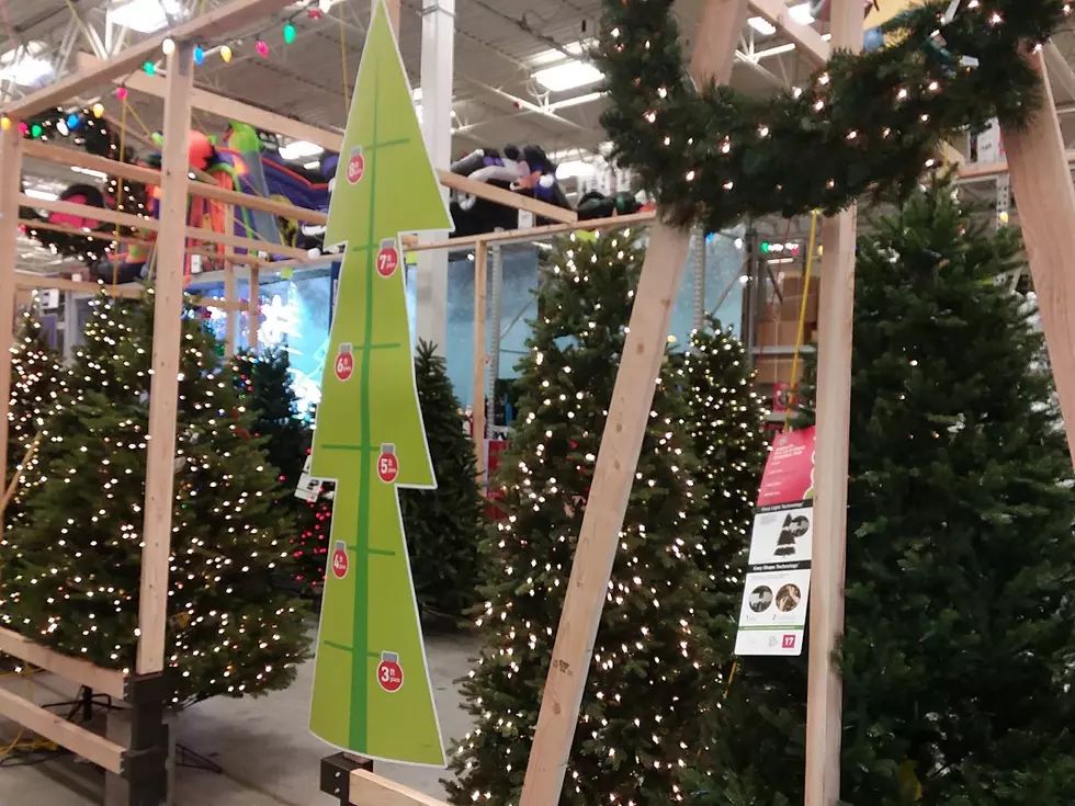 What&#8217;s Idaho&#8217;s Choice for Christmas Trees?  Real or Fake?
