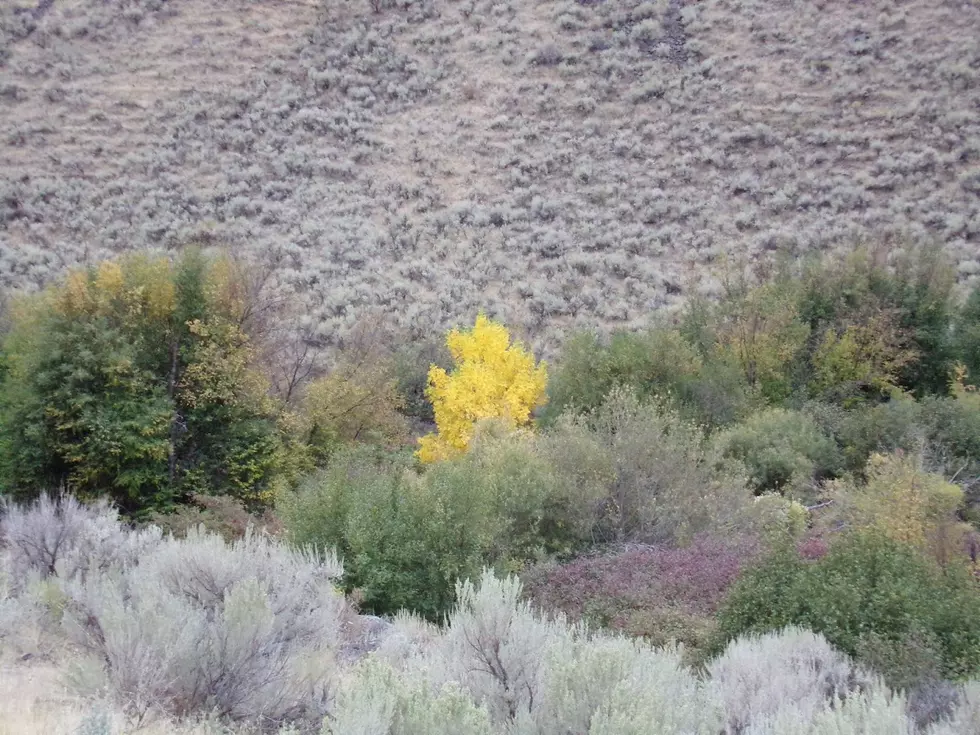 Idaho Still Dry but Wet Weather is Coming Soon