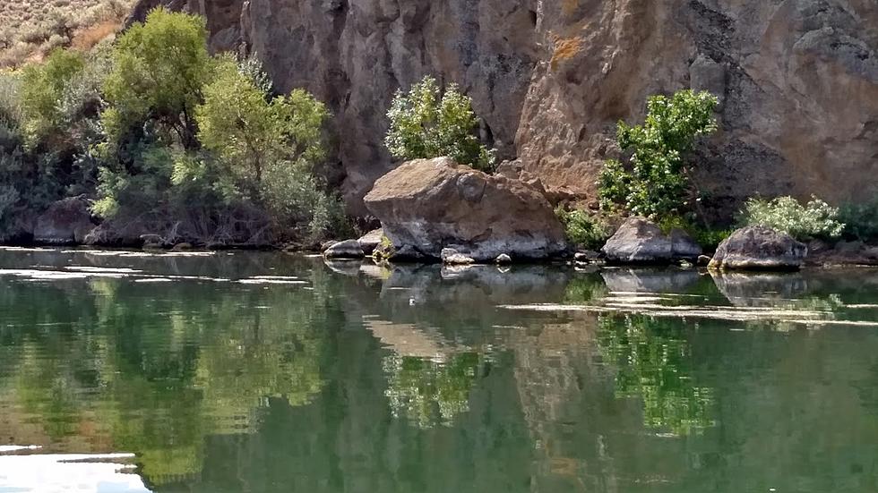 There Are Crawling Reptiles Along the Snake River