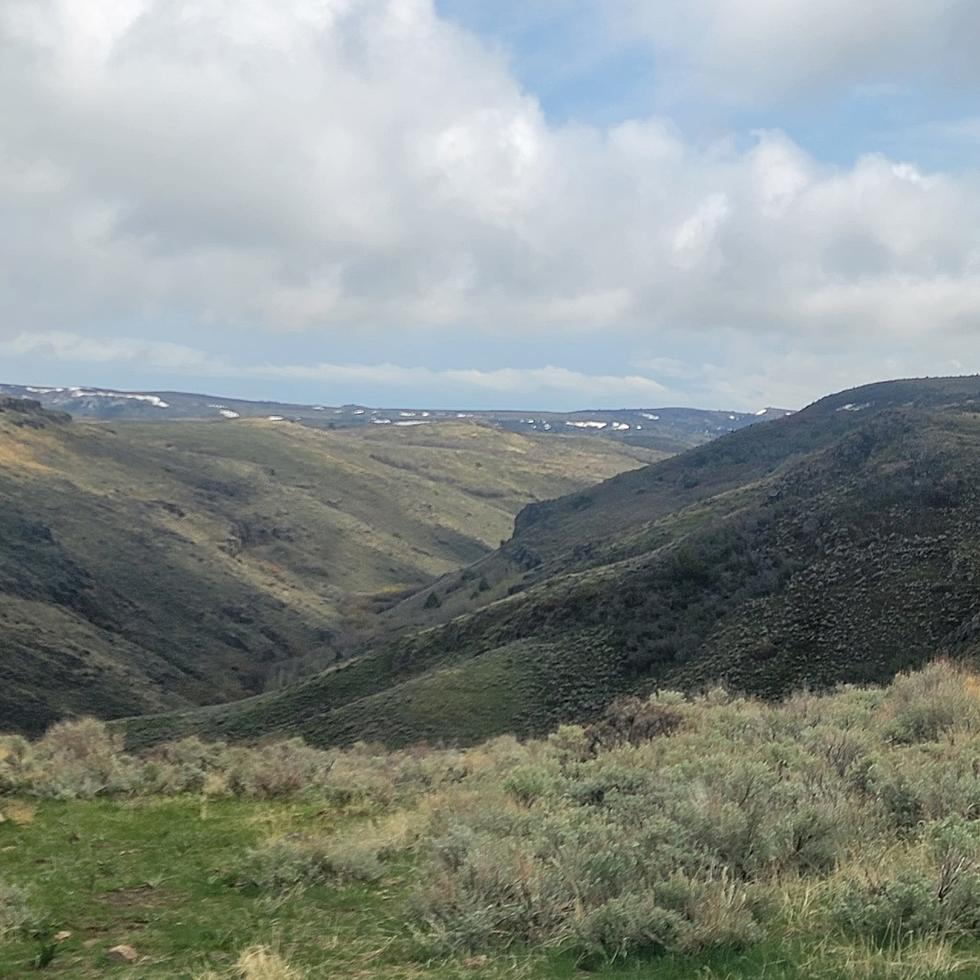 Some Simple Tips for Surviving Idaho’s Back Country