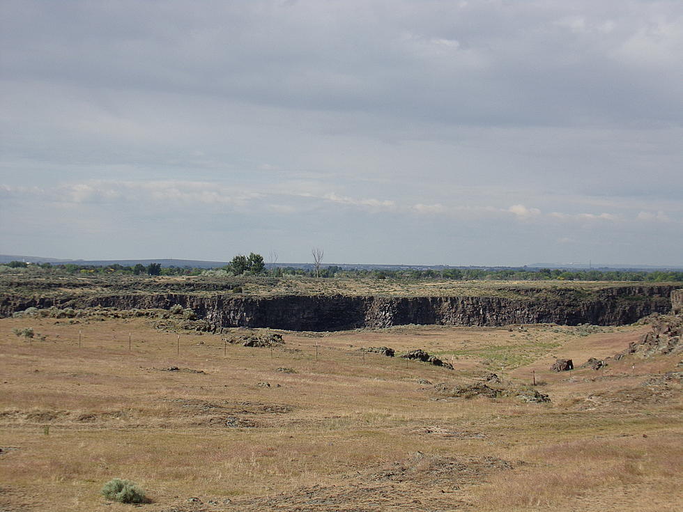 Rain, Allergies and a Green Idaho High Desert