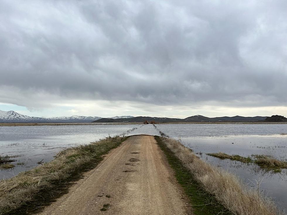 WARNING:  Idaho’s Centennial Marsh is Wet and Muddy