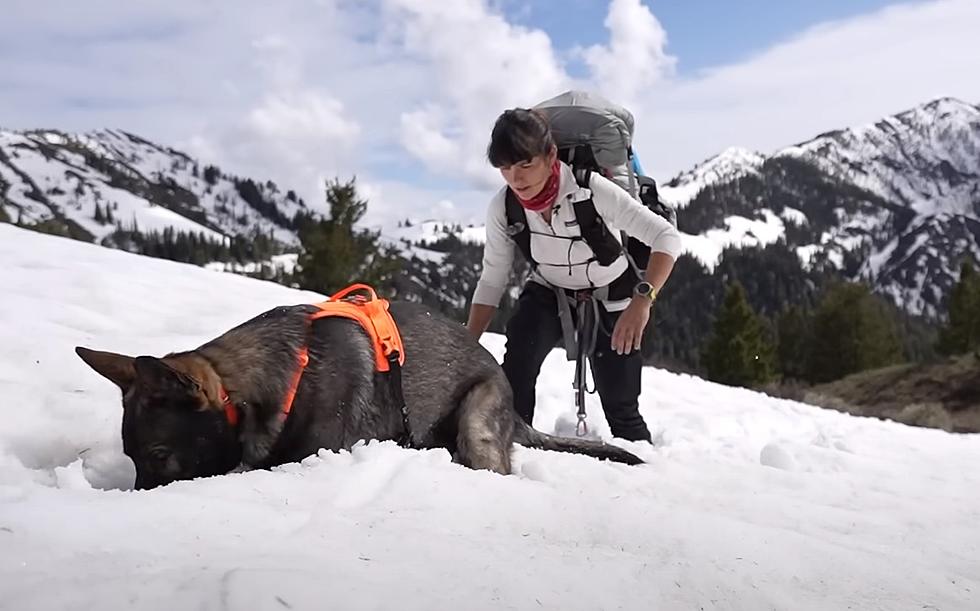 World Renowned Travel Writer Hikes Idaho’s Long Gulch Trail