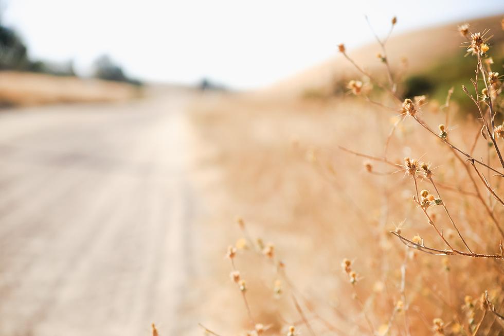 Idaho&#8217;s Hottest Day Happened Long Before Global Warming