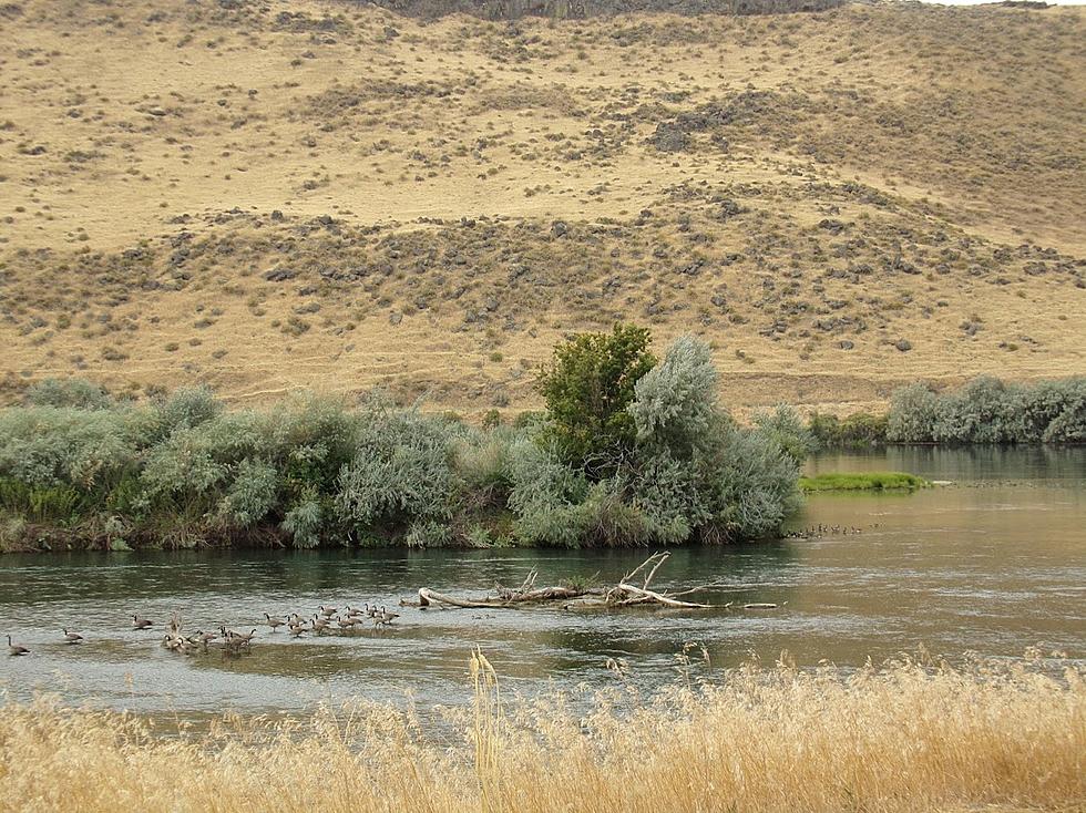 The Court Case That Could Make Idaho Unlivable