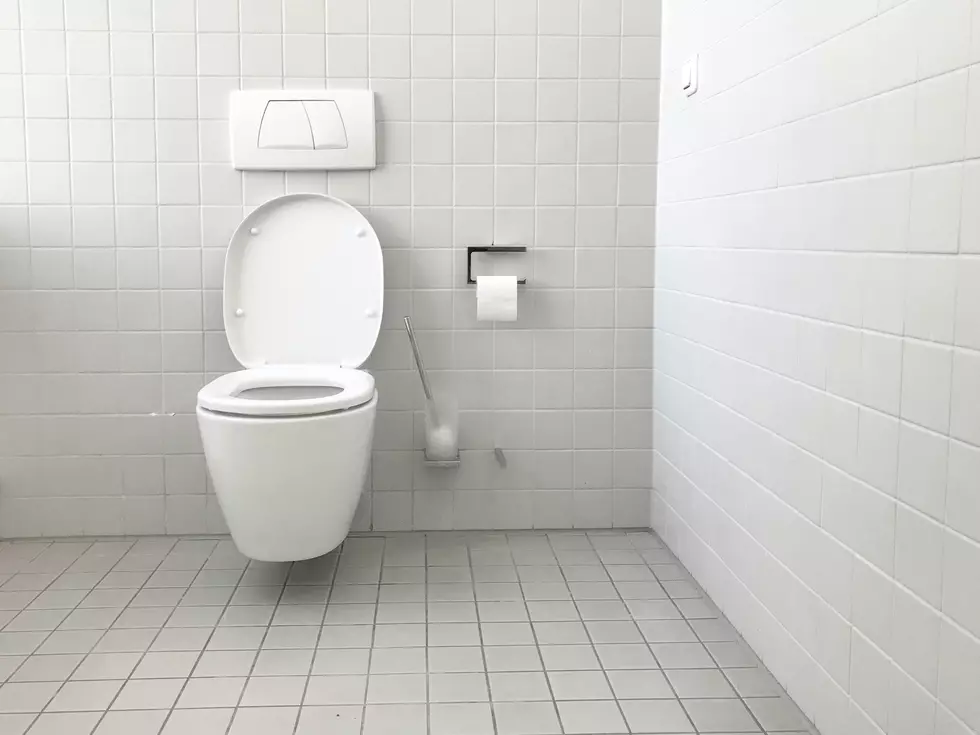 An Idaho Home has a New 12,000 Dollar Toilet