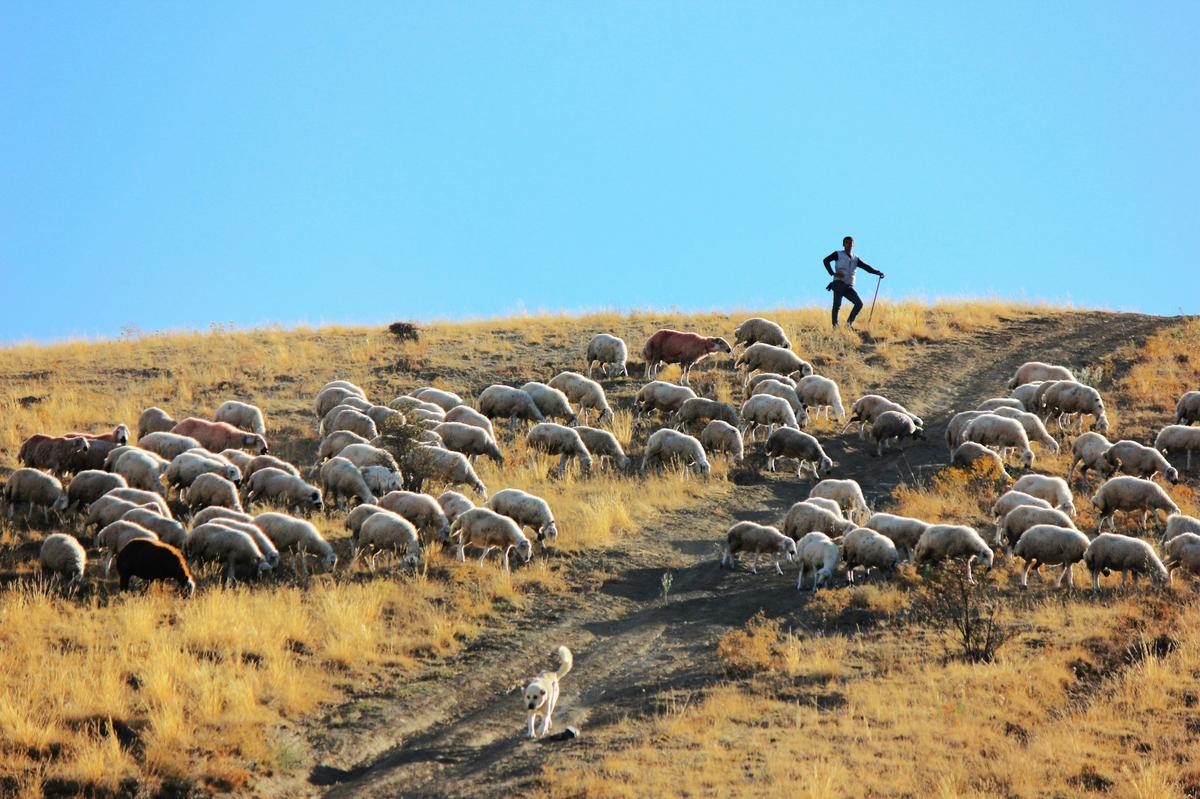 Summer is Running Out and the Fun is Just Starting in Idaho
