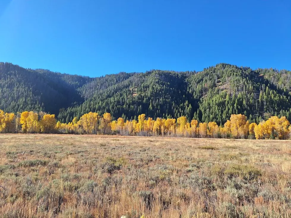 Southern Idaho is Going to Get a Quick Taste of Autumn