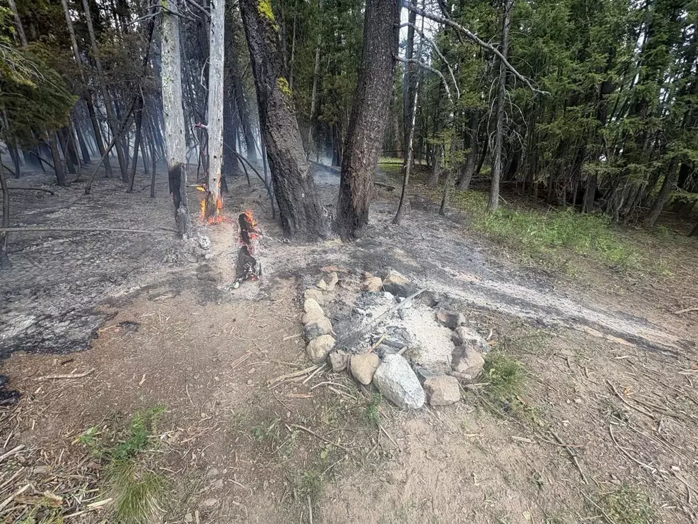 Forest Service Looking for Idaho Fire Bug
