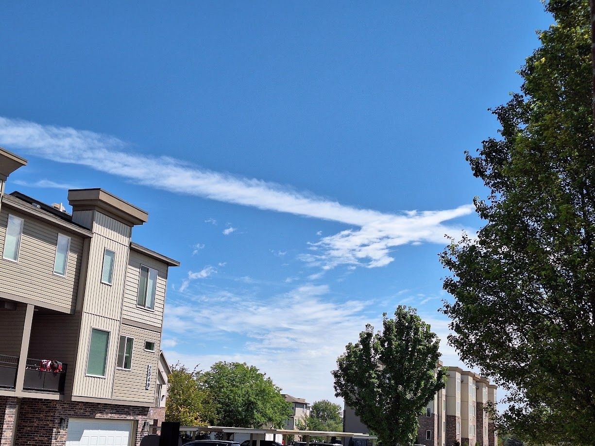 OPINION: The Idaho Chemtrail Crowd Needs Medical Help