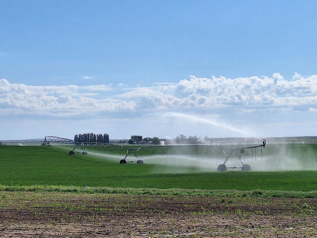Idaho Drought Holds Firm As Heat Finally Breaks Across The Region