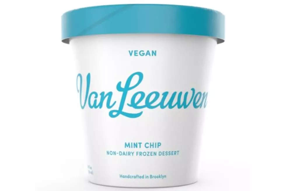 Van Leeuwen Vegan Mint Chip Non-Dairy Ice Cream