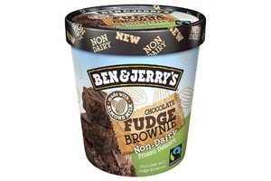 Ben & Jerry's Chocolate Fudge Brownie Non-Dairy Frozen Dessert