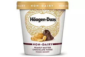 Häagen Dazs Non-Dairy Peanut Butter Chocolate Fudge Ice Cream