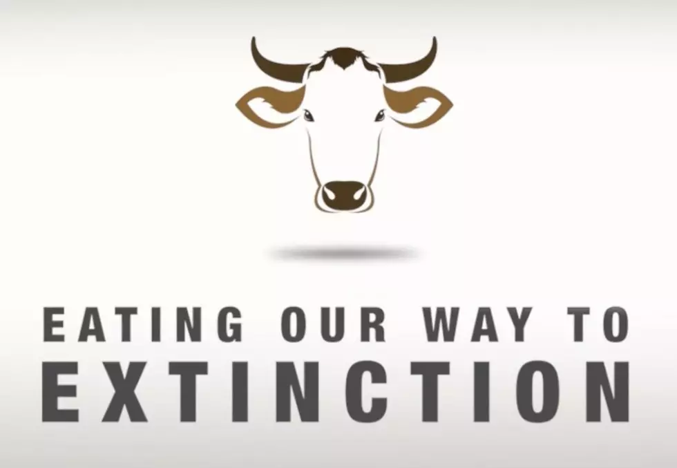 Watch the Trailer for the Much-Anticipated Film &#8216;Eating Our Way to Extinction&#8217;, Set to Release in 2020