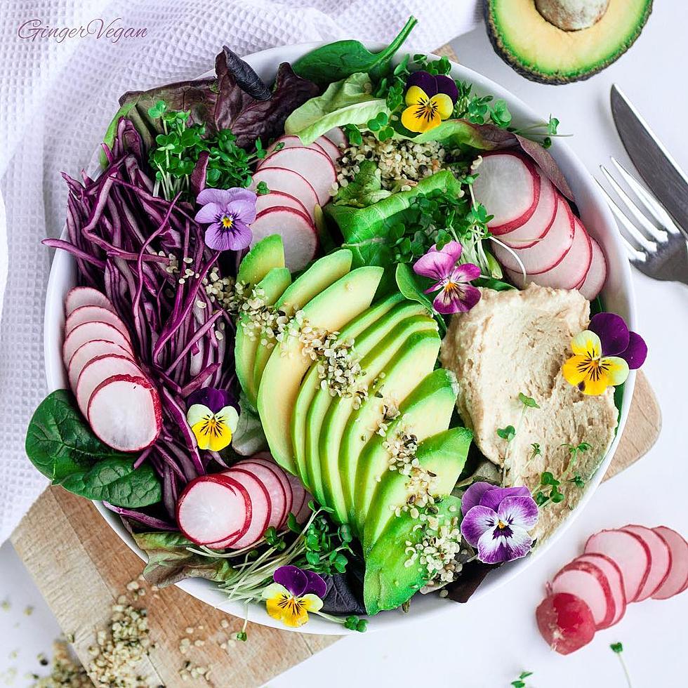 Healthy Vegetable Salad with Sliced Avocado and Hummus