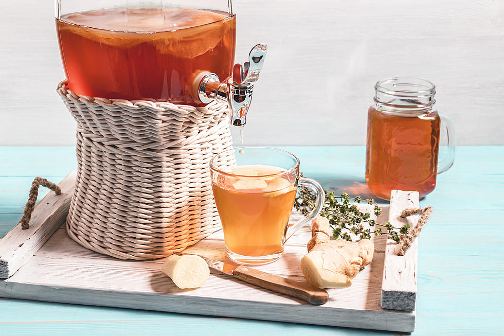 What Is Kombucha? Everything You Have Ever Wondered About The Probiotic Drink