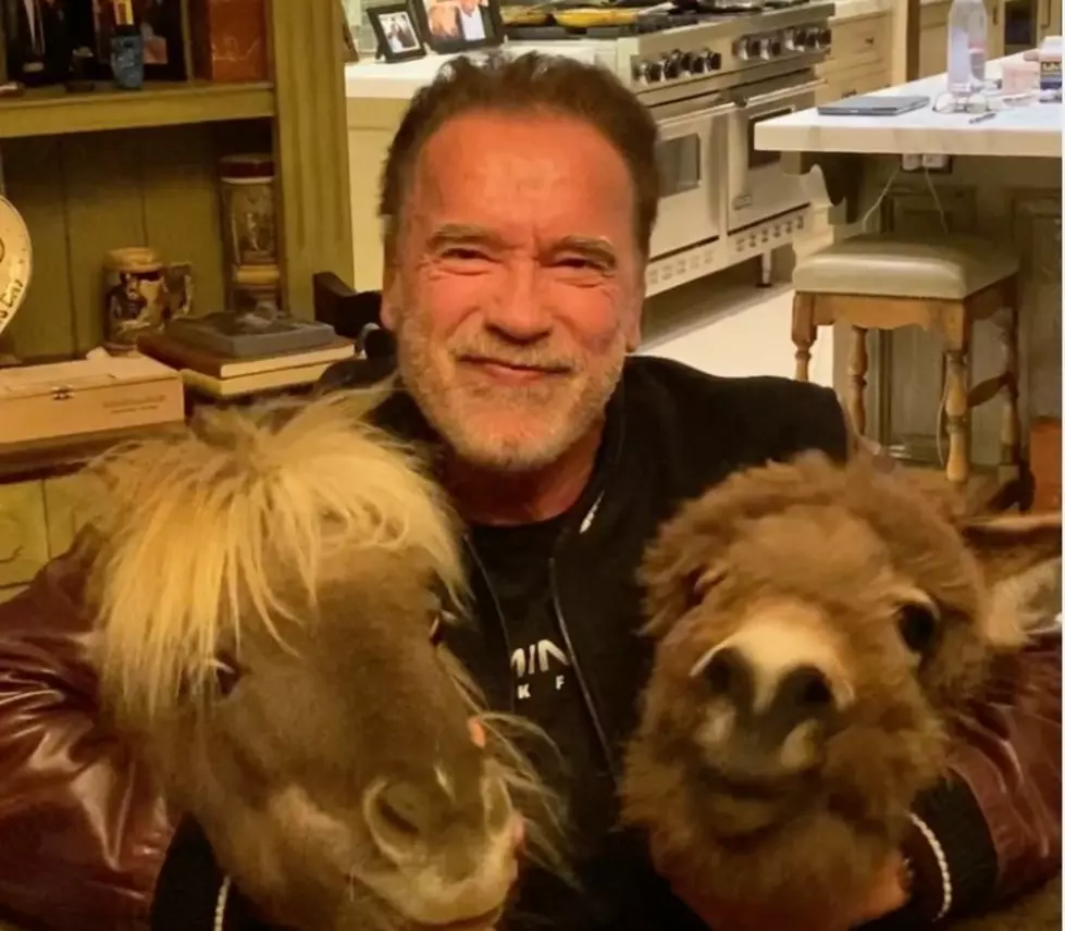 Arnold Says He&#8217;s Home, Eating Vegan. Taylor, Ariana &#038; Gaga Say: Stay Home!