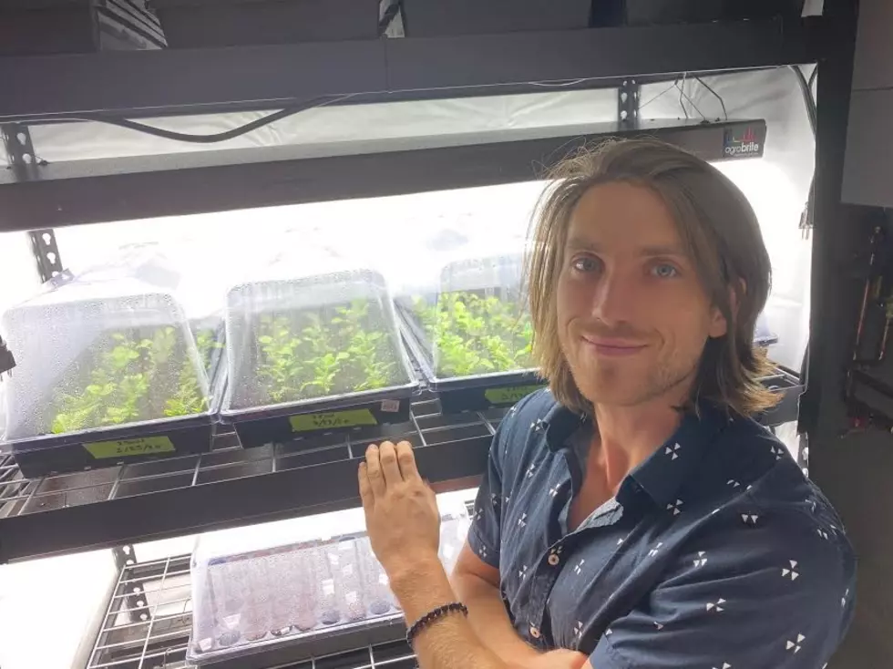 R.E.D.D. Bar Founder Alden Blease on How to Grow Your Own Microgreens