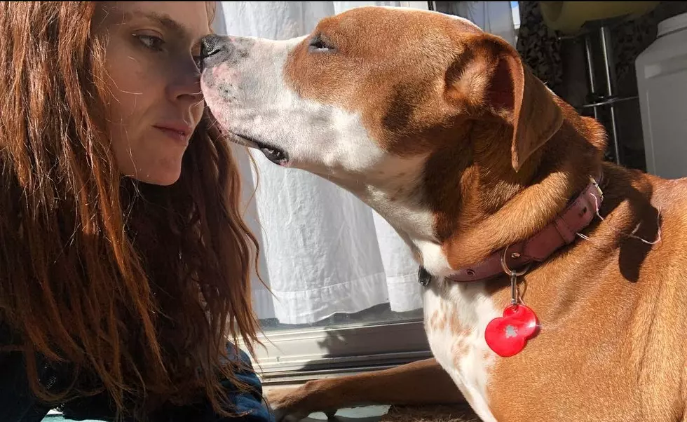 Kate Nash Reflects on Going Vegan After Watching <em>Okja</em> With Her Dog