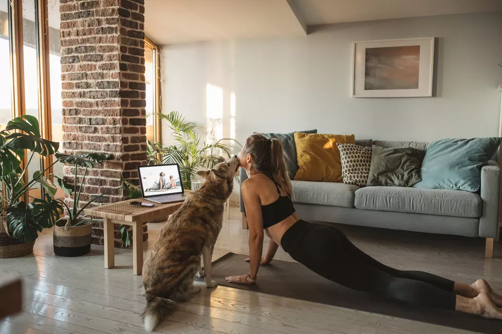 This is the Reason Your Dog Goes Crazy When You do Yoga at Home