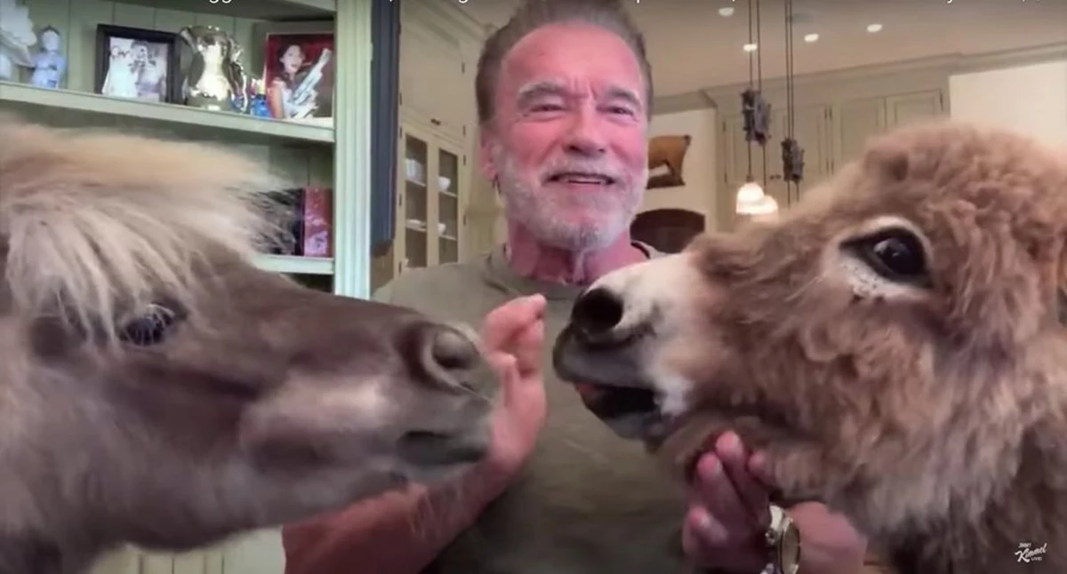Arnold Schwarzenegger and His Donkey Lulu Enjoy Quality Time