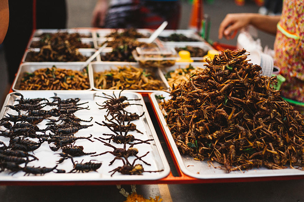 New Survey Finds Consumers Who Want Save the Planet Would Rather Eat Plants Than Bugs