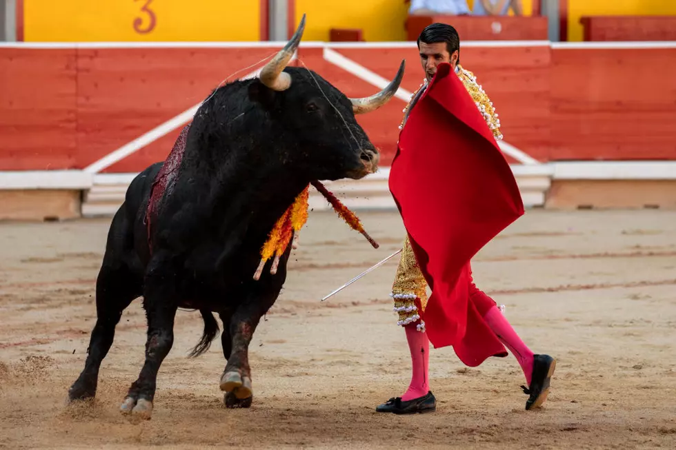 Ban on Bullfighting in Bogota Means No Bulls Can Be Harmed in the Arena