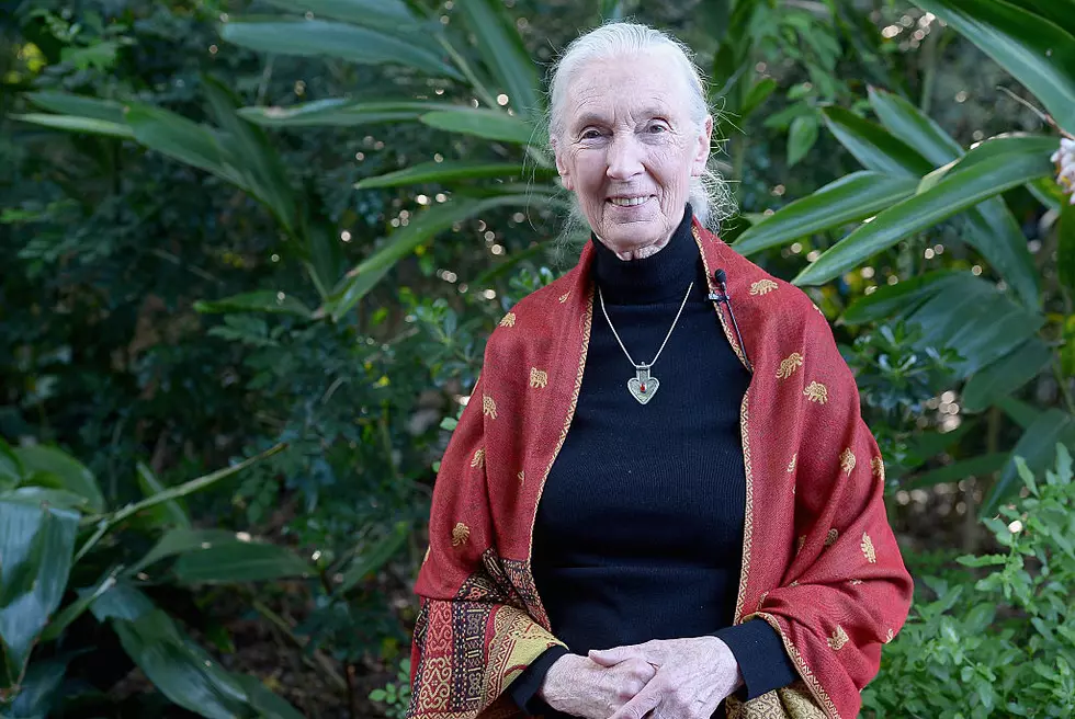 Jane Goodall on COVID-19: “We Need to Change How We Think About Food&#8221;