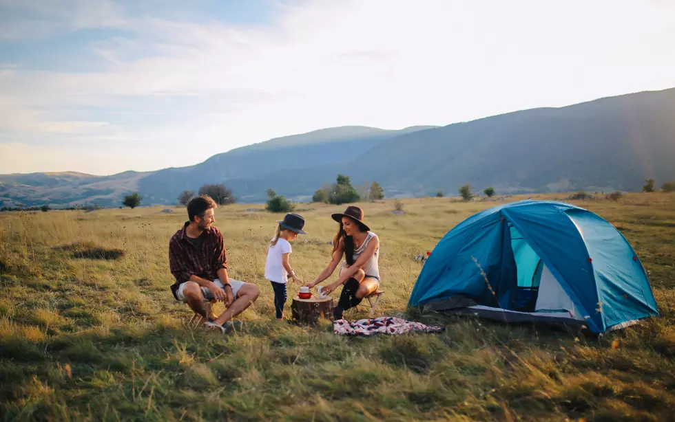 Everything You Need For A Successful Vegan Summer Camping Trip