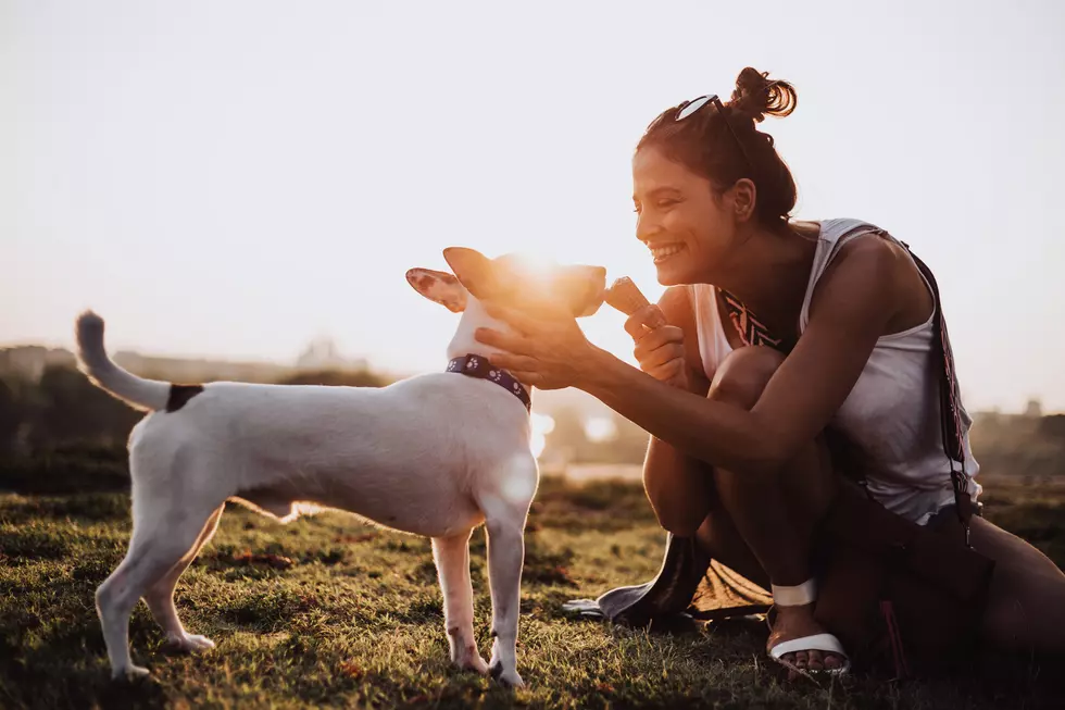 Demand for Vegan and Plant Based Food is Soaring As World Loses Taste for Meat